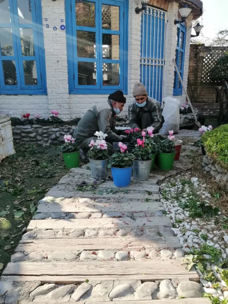 پیاده سازی روف گاردن