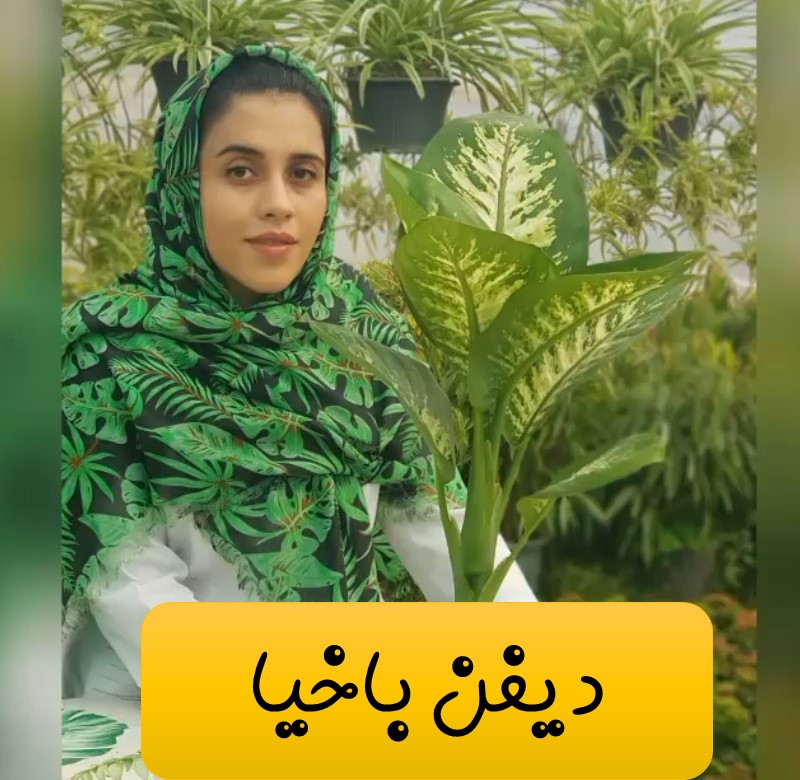 دیفن باخیا